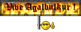 Agalbulkur